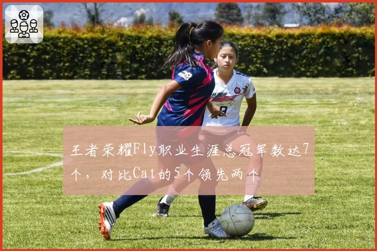 王者荣耀Fly职业生涯总冠军数达7个,对比Cat的5个领先两个