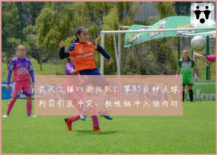 武汉三镇vs浙江队:第85分钟点球判罚引发冲突,教练组冲入场内对峙